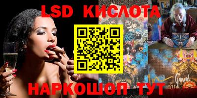 шишки Балашиха