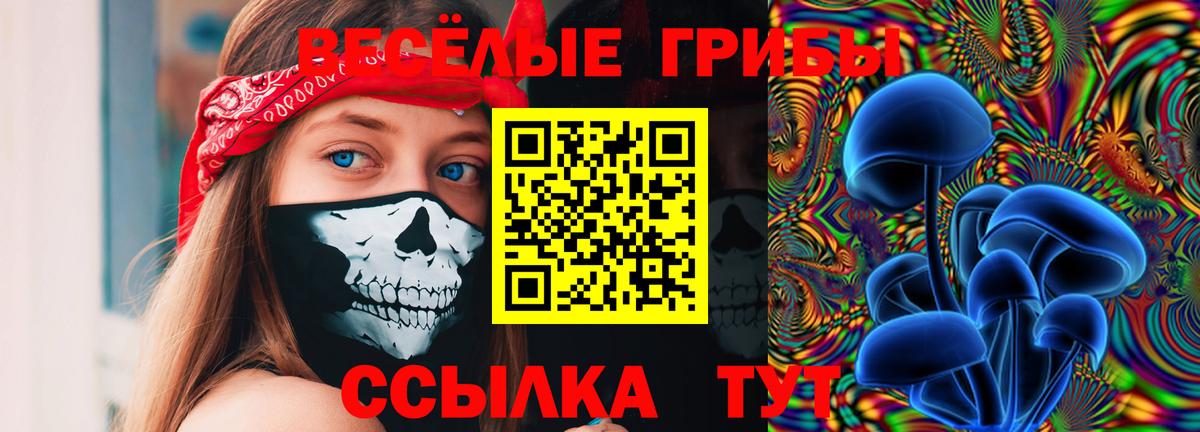 купить наркоту  Галлюциногенные грибы ЛСД  Вход с VPN  Долгопрудный 